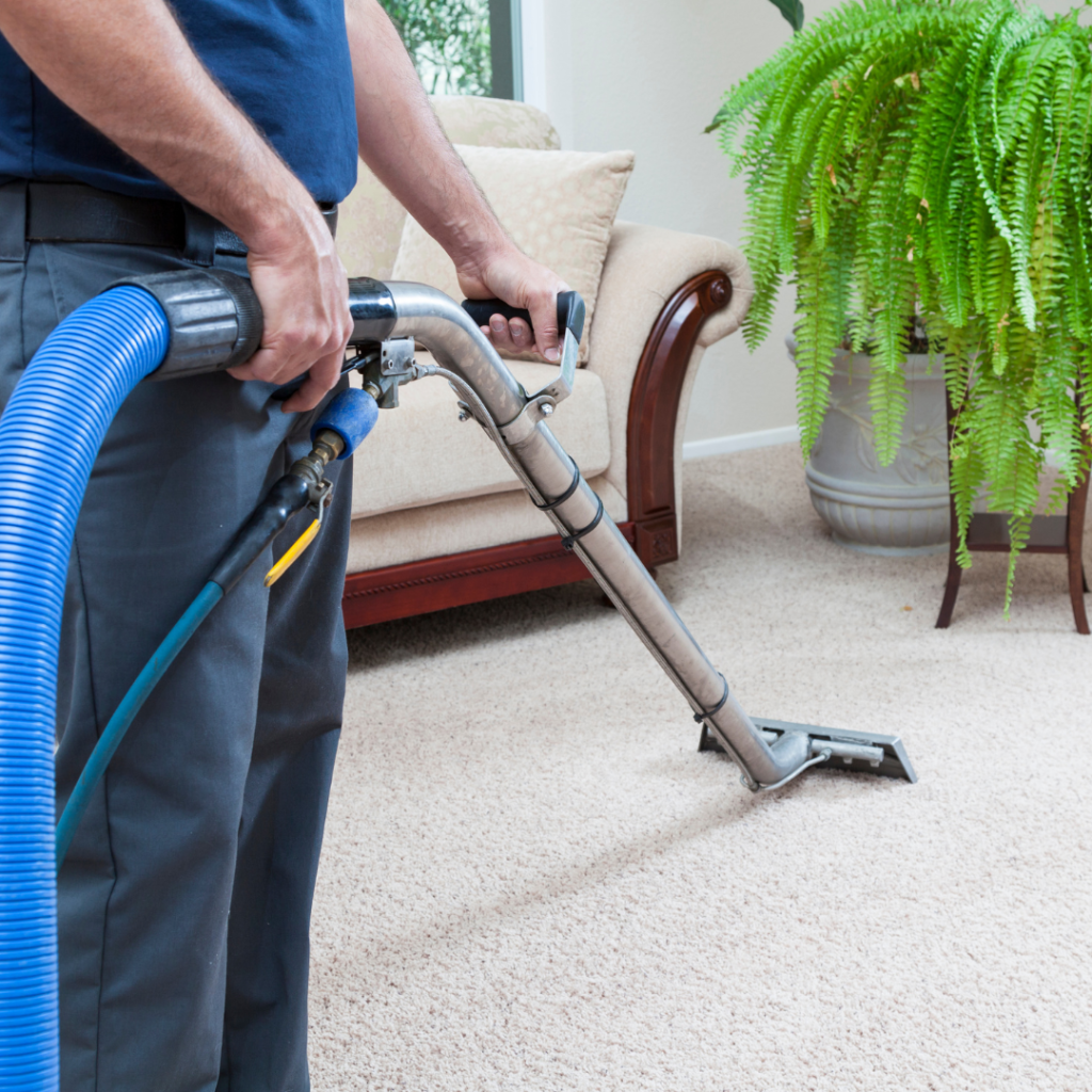 Close view of a cleaned carpet